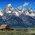 John Moulton Barn at Mormon Row inside Grand Teton National Park