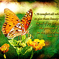 To Comfort All Who Mourn